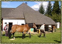 Novohradská kovárna
