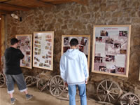 Exhibitions